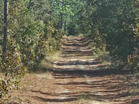 13099 SW 92nd Place Dunnellon FL 34432