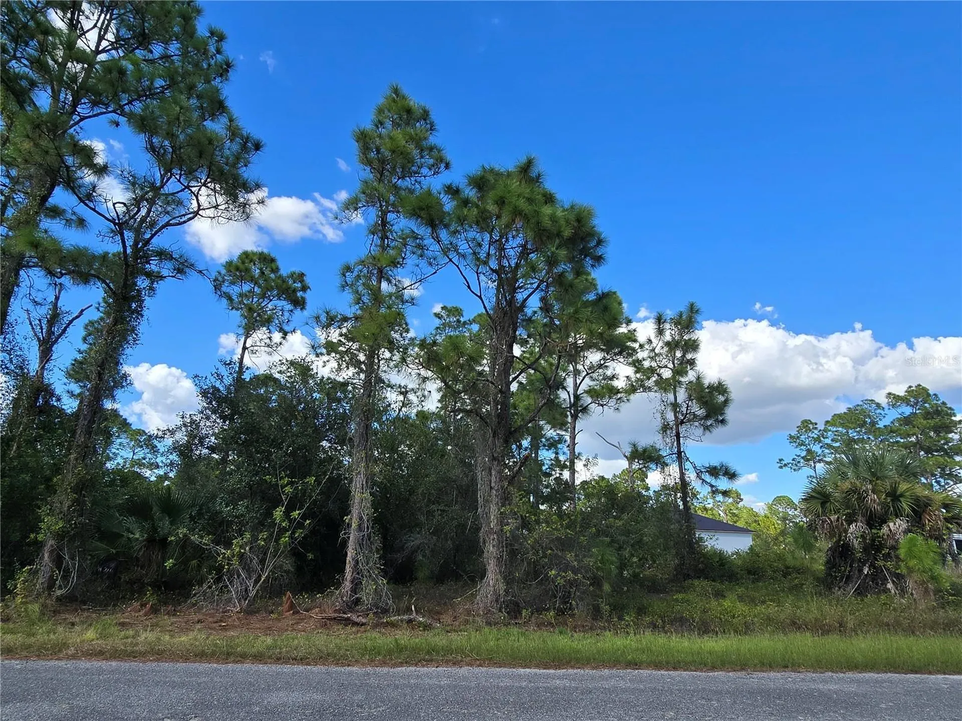 1017 Lakeside Drive Lehigh Acres FL 33974