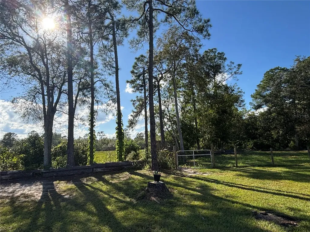 8260 SE 175th Court Ocklawaha FL 32179