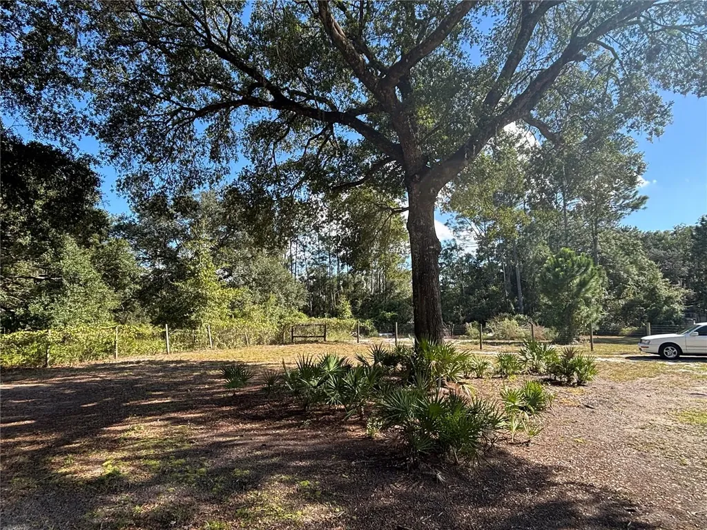 8260 SE 175th Court Ocklawaha FL 32179