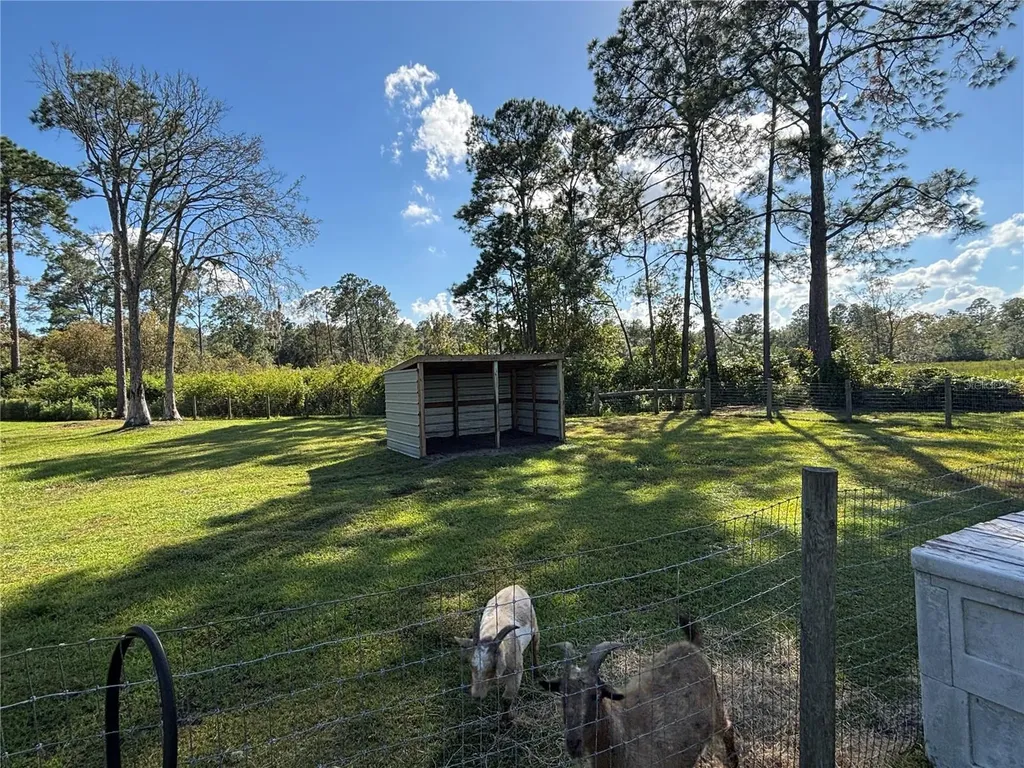 8260 SE 175th Court Ocklawaha FL 32179