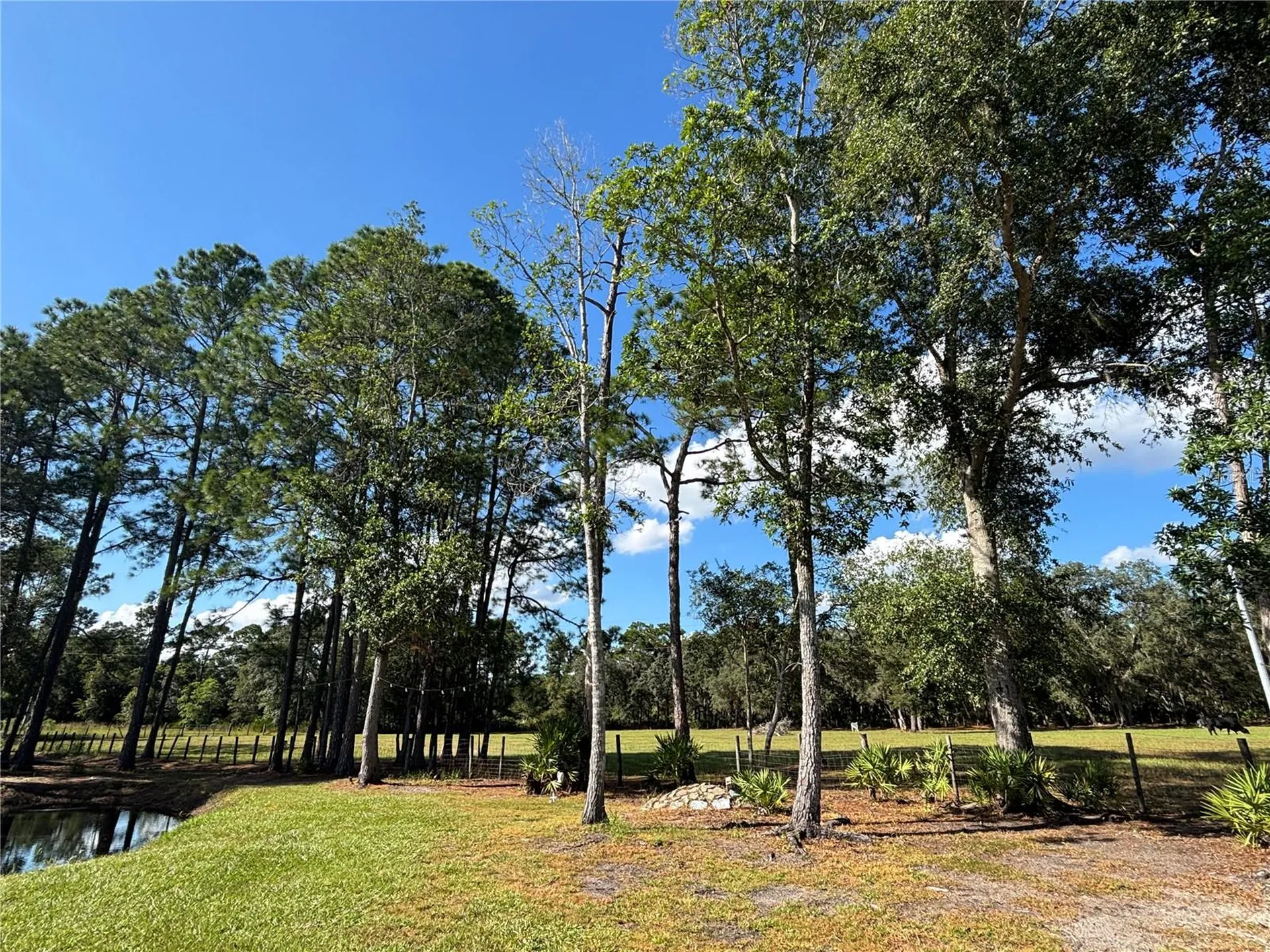 8260 SE 175th Court Ocklawaha FL 32179