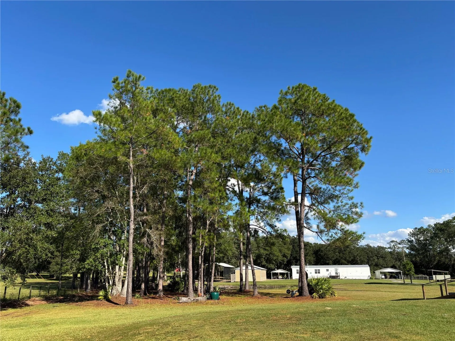 8260 SE 175th Court Ocklawaha FL 32179