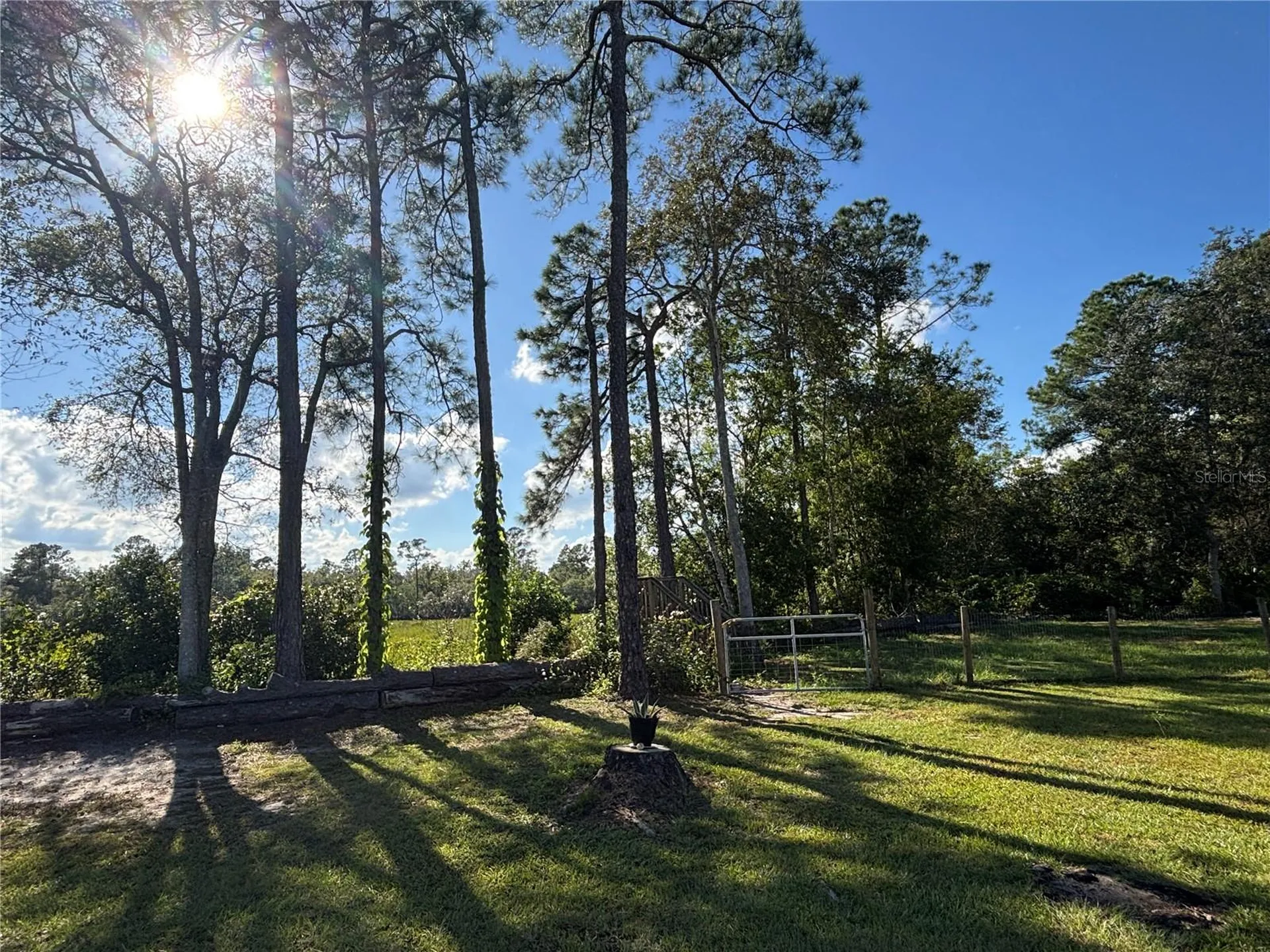 8260 SE 175th Court Ocklawaha FL 32179
