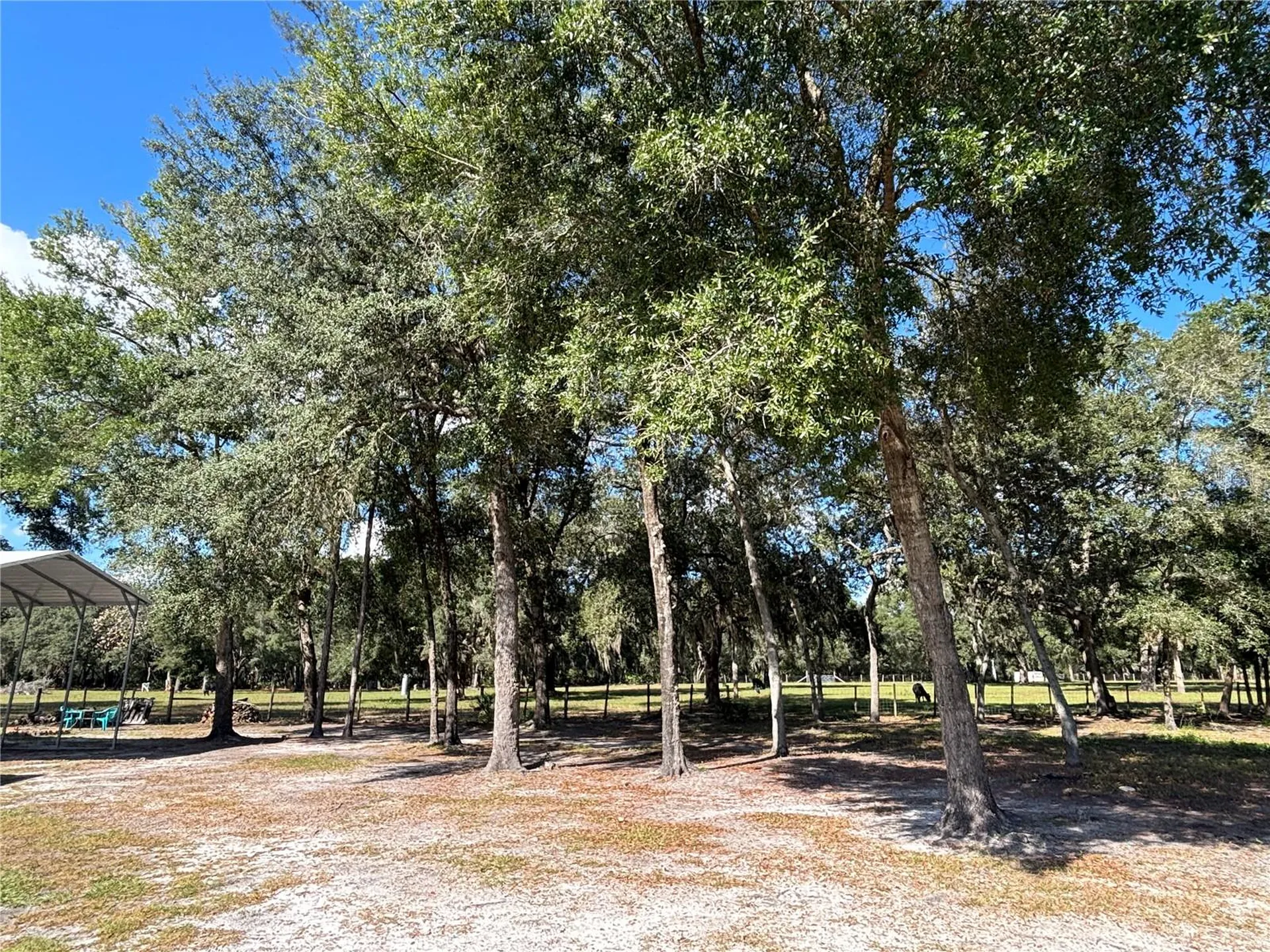 8260 SE 175th Court Ocklawaha FL 32179