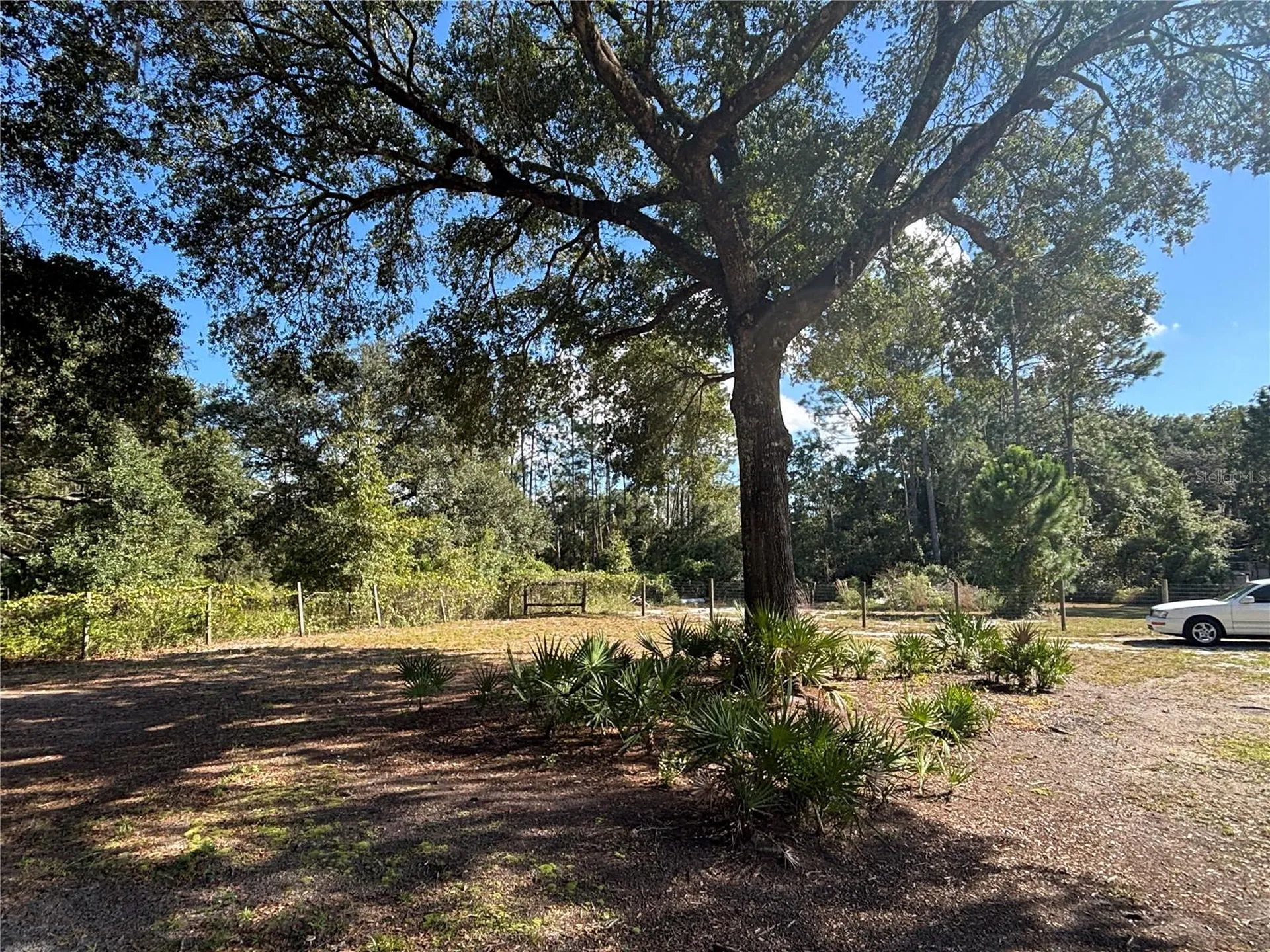 8260 SE 175th Court Ocklawaha FL 32179