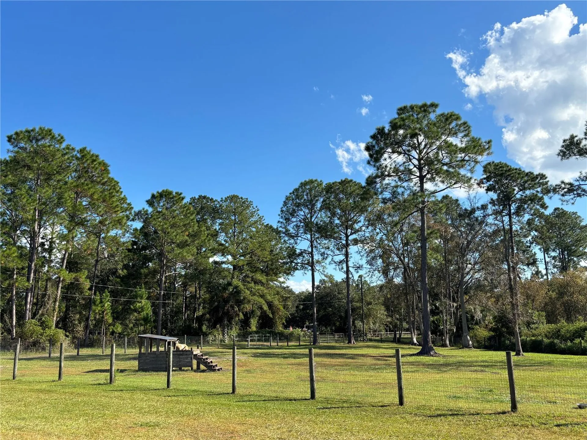 8260 SE 175th Court Ocklawaha FL 32179