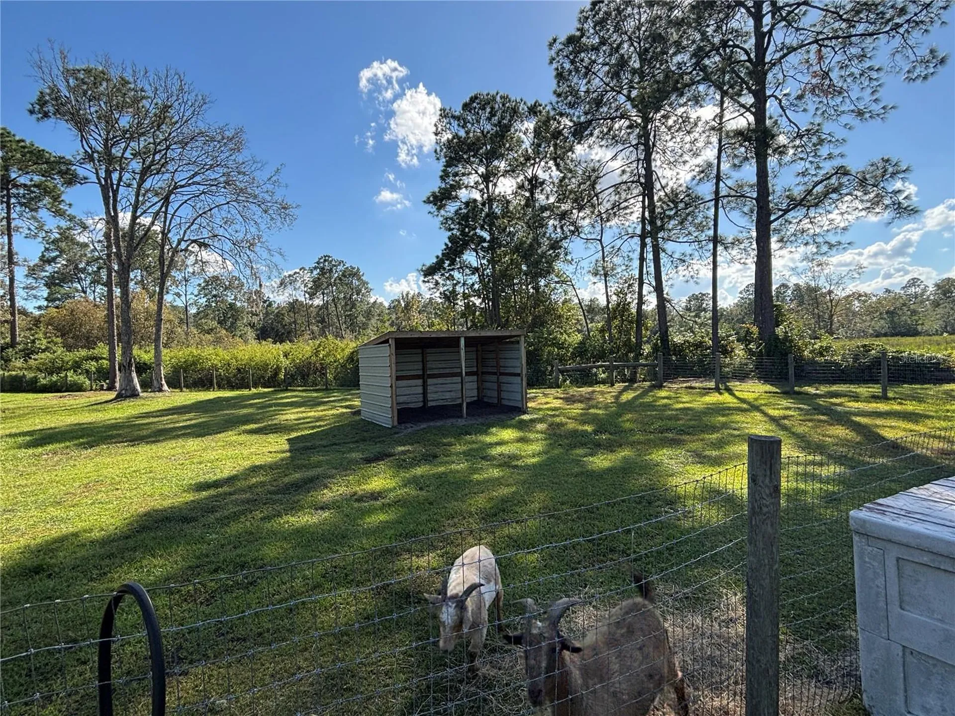 8260 SE 175th Court Ocklawaha FL 32179