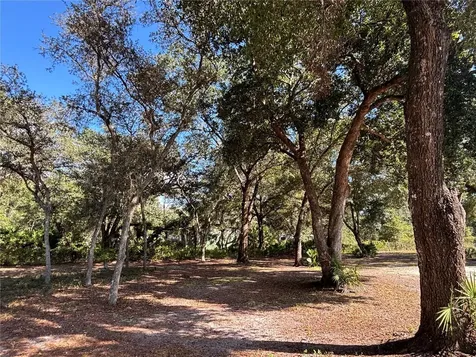 8260 SE 175th Court Ocklawaha FL 32179