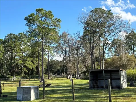 8260 SE 175th Court Ocklawaha FL 32179
