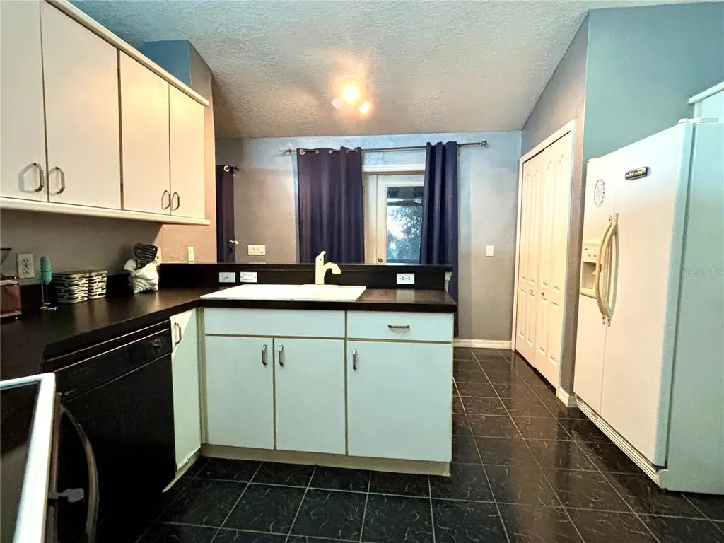 1315 Patricia Street Kissimmee FL 34744