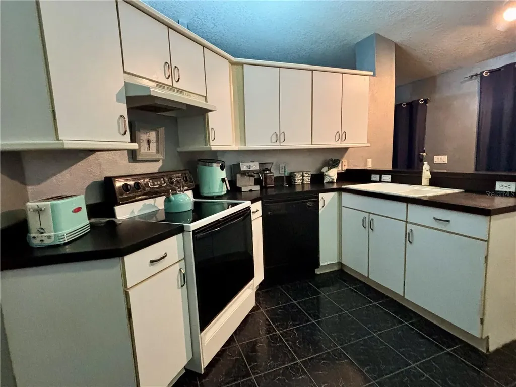 1315 Patricia Street Kissimmee FL 34744