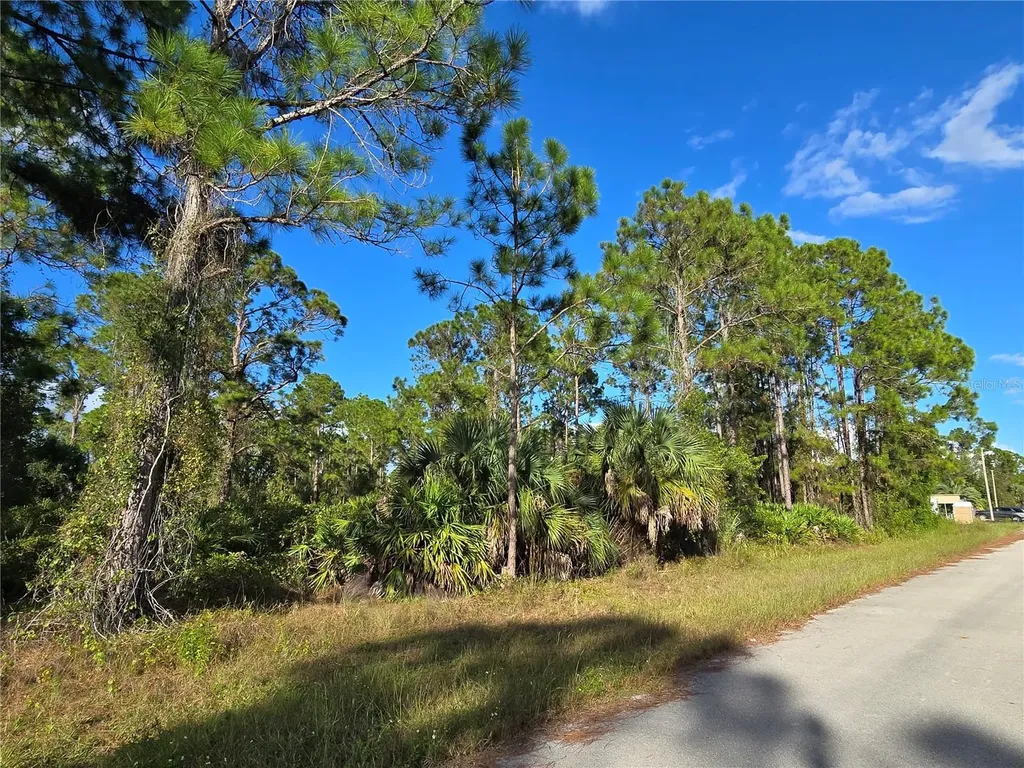 1137 Rambler Street Lehigh Acres FL 33974