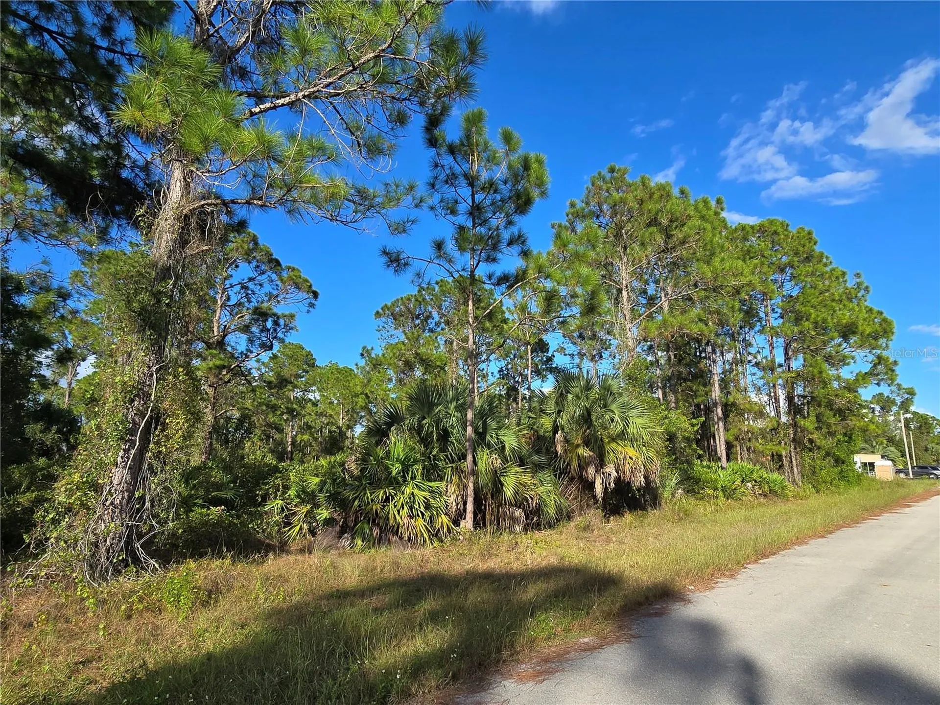 1137 Rambler Street Lehigh Acres FL 33974