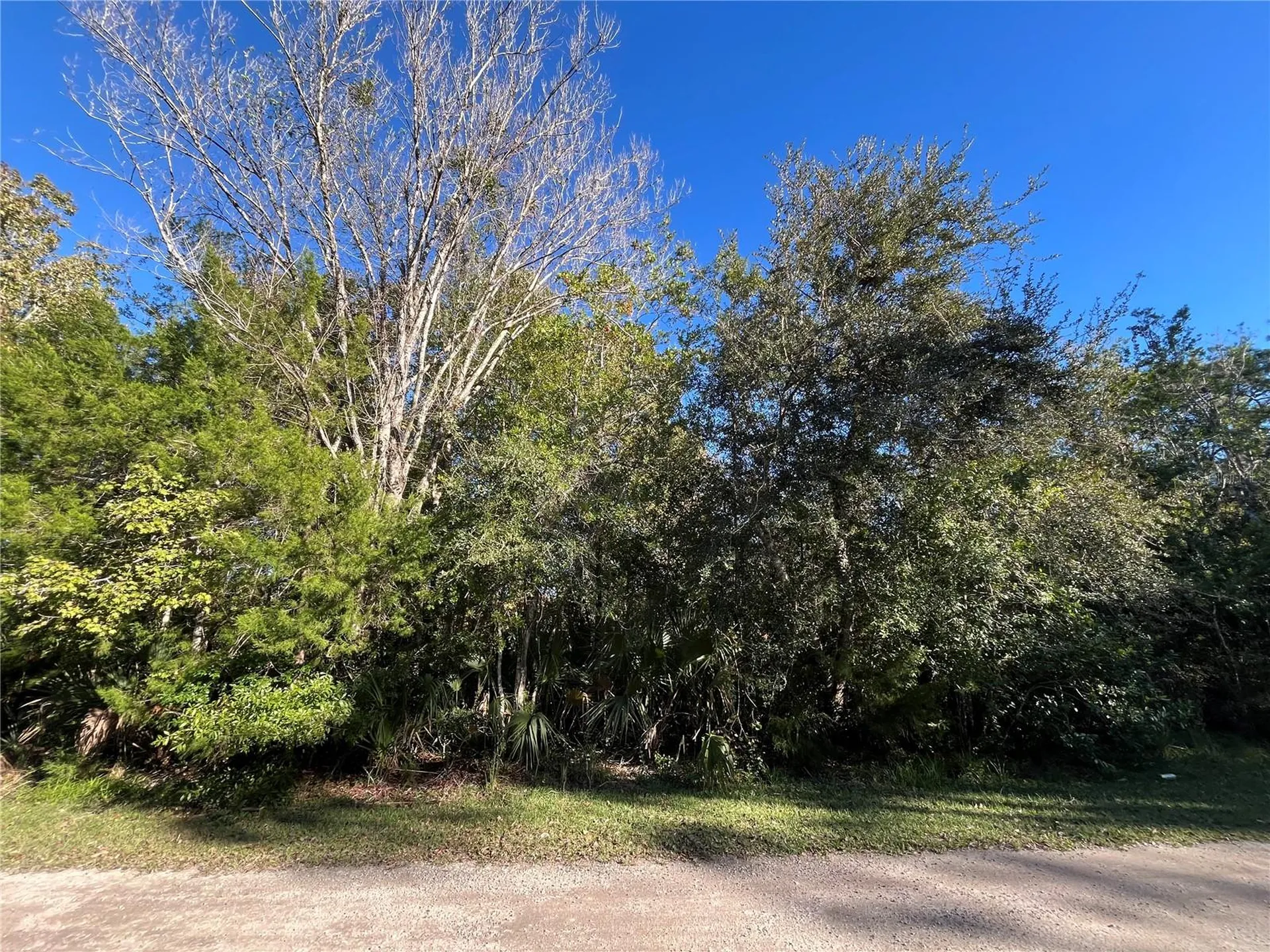 9667 S Lotus Point Homosassa FL 34448