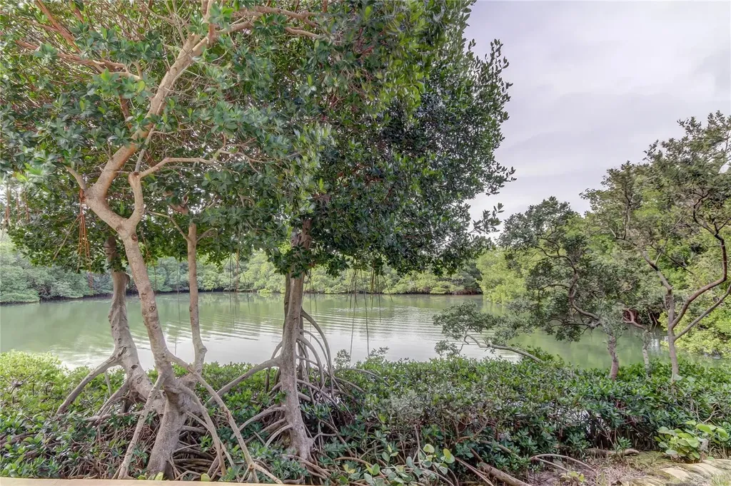 7050 Sunset Drive S South Pasadena FL 33707