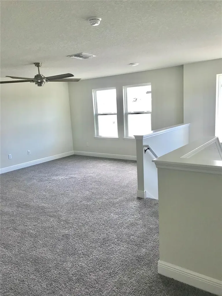 11638 Sweet Tangerine Lane Tampa FL 33626