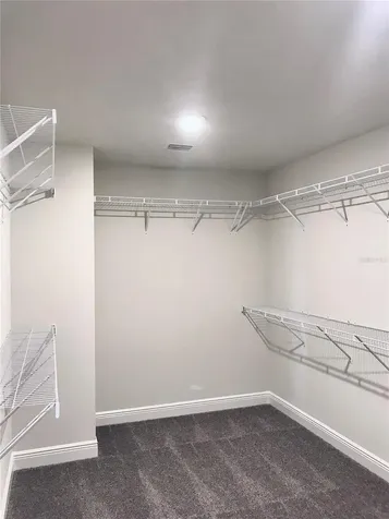 11638 Sweet Tangerine Lane Tampa FL 33626