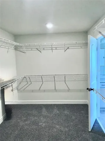 11638 Sweet Tangerine Lane Tampa FL 33626