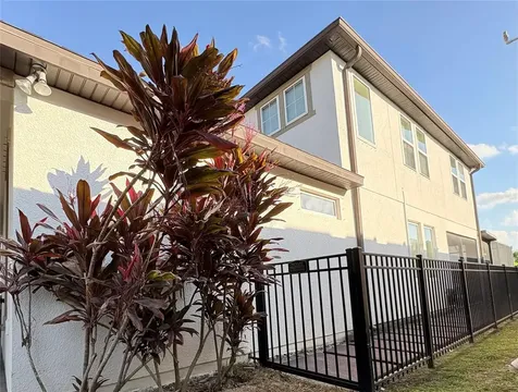 11638 Sweet Tangerine Lane Tampa FL 33626