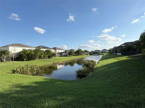 11638 Sweet Tangerine Lane Tampa FL 33626