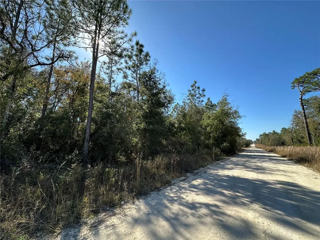 Tbd NE 15th Street Williston FL 32696