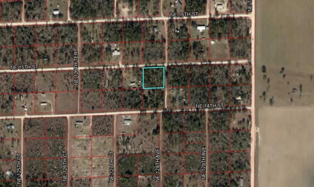 Tbd NE 15th Street Williston FL 32696