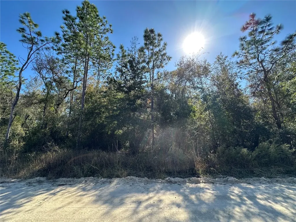 Tbd NE 15th Street Williston FL 32696