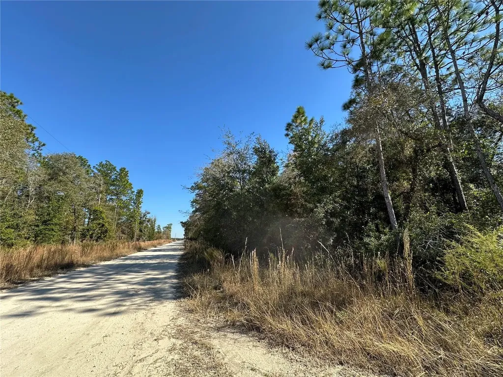 Tbd NE 15th Street Williston FL 32696