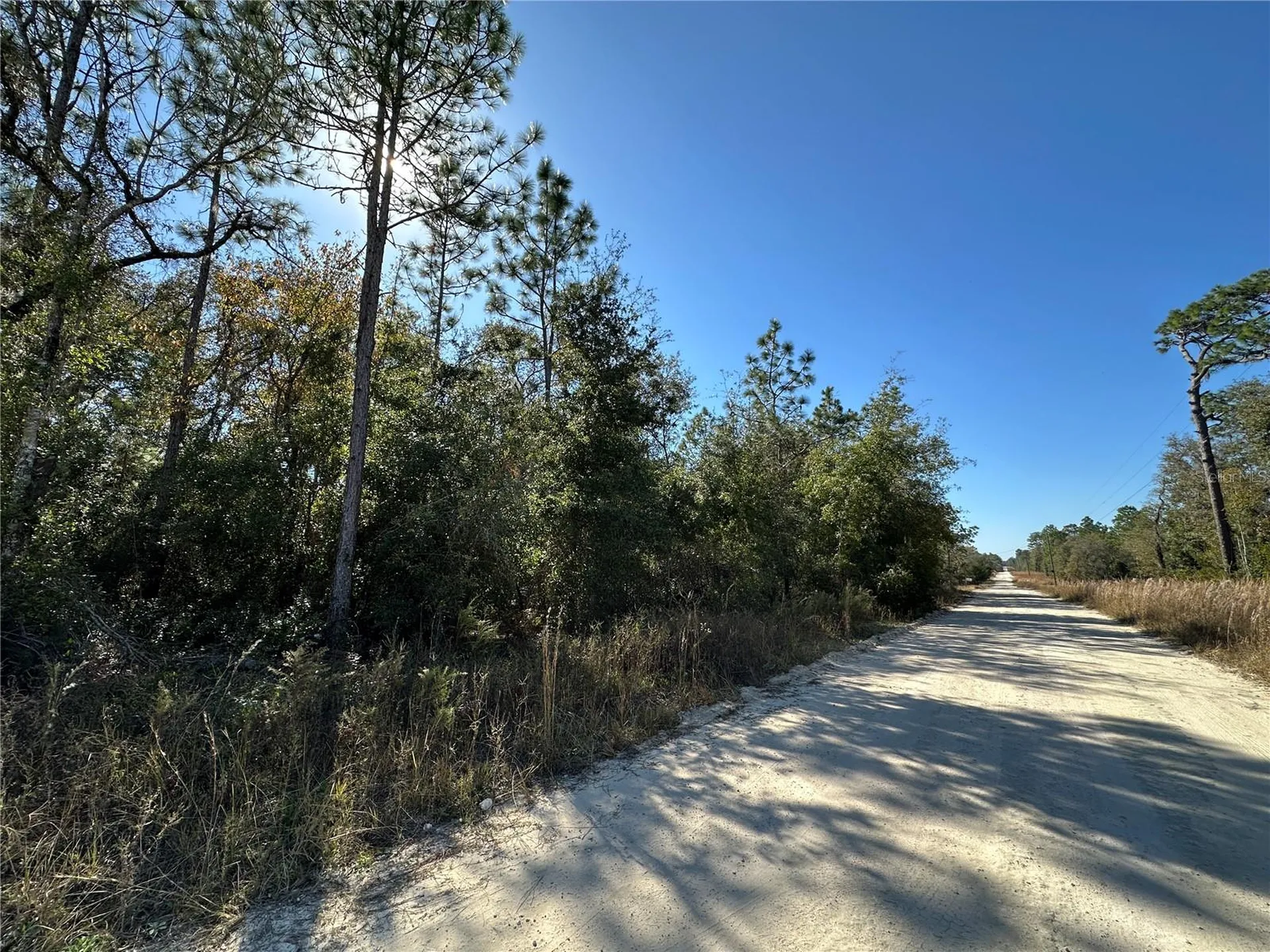 Tbd NE 15th Street Williston FL 32696