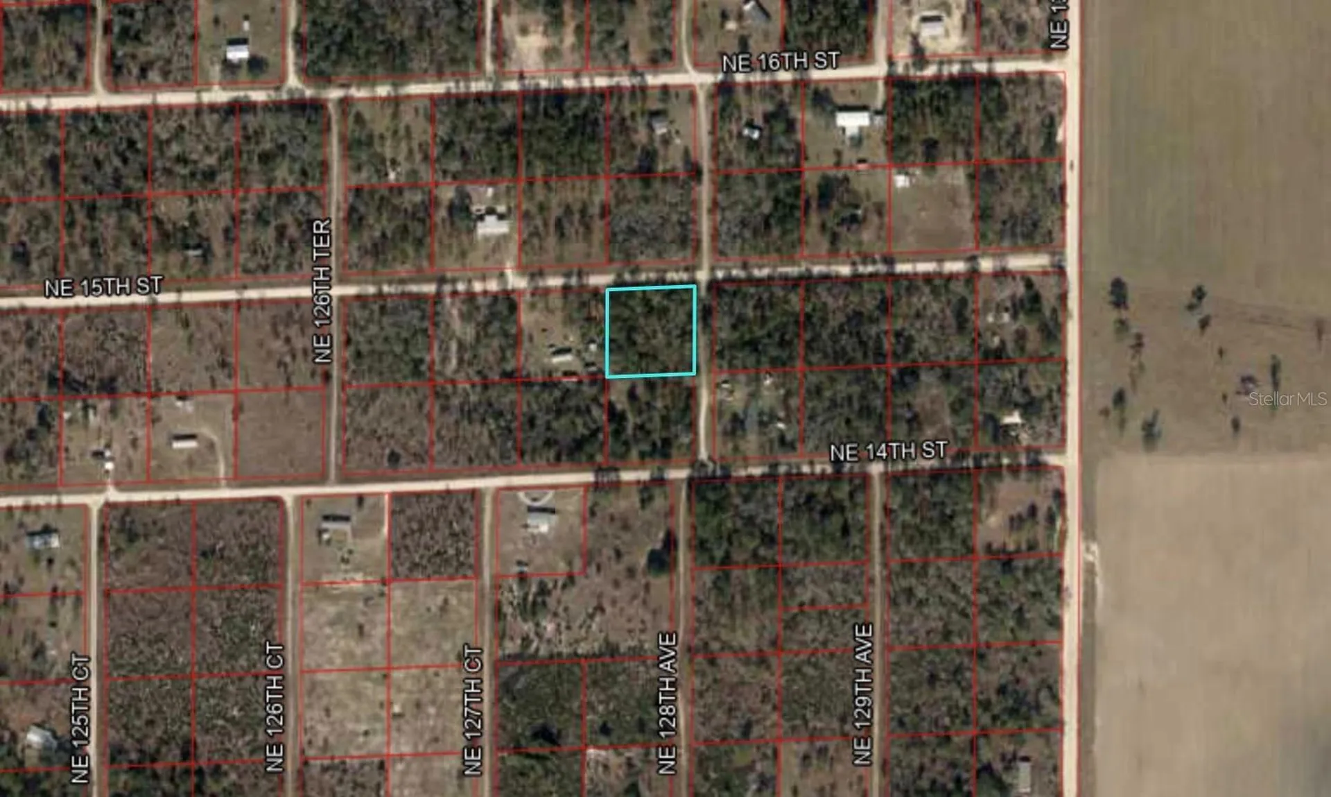 Tbd NE 15th Street Williston FL 32696