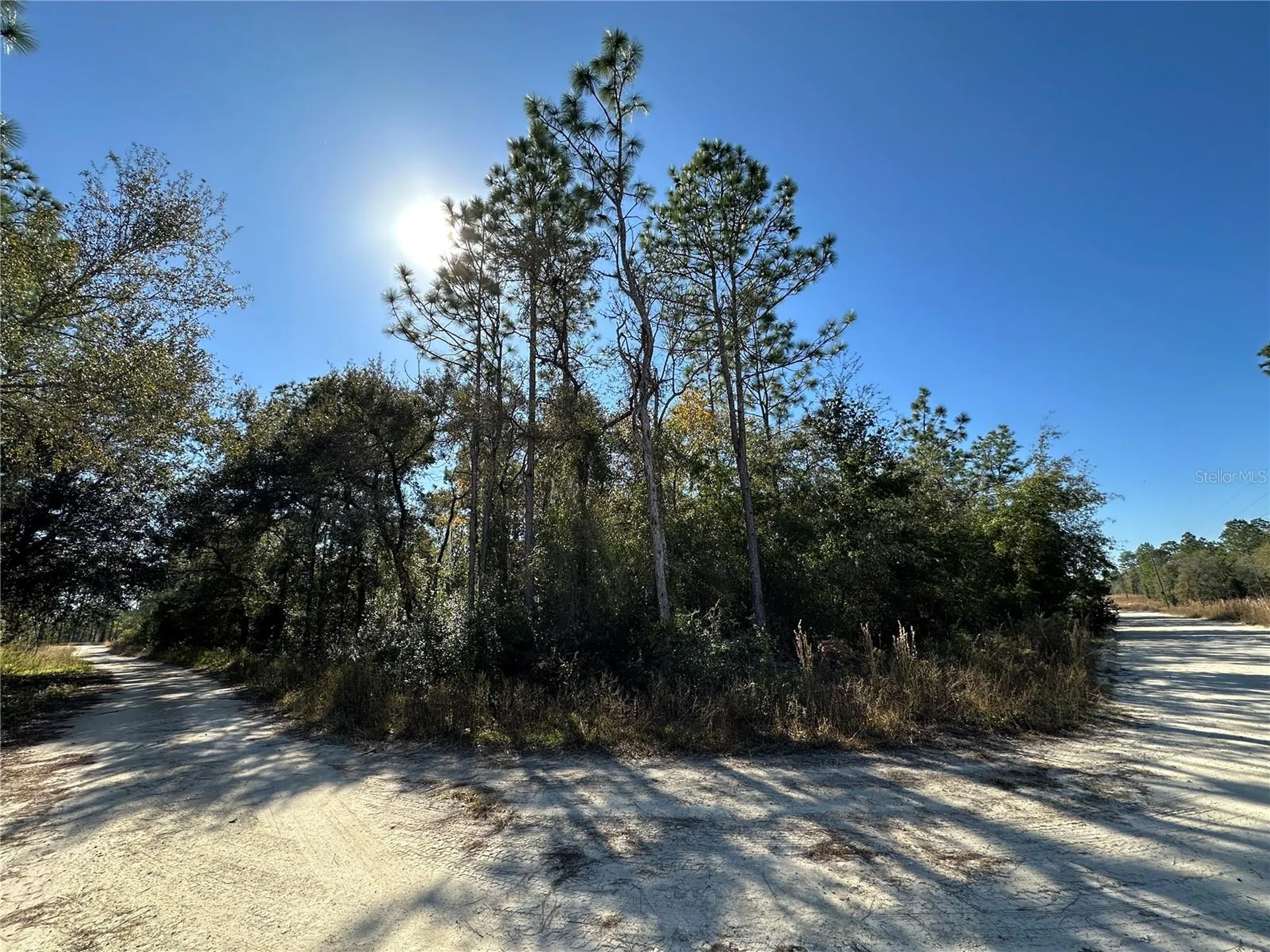 Tbd NE 15th Street Williston FL 32696