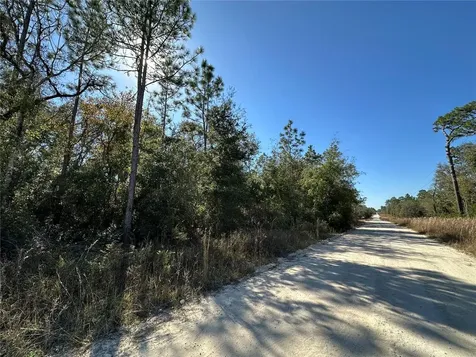 Tbd NE 15th Street Williston FL 32696