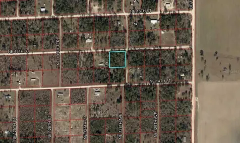 Tbd NE 15th Street Williston FL 32696