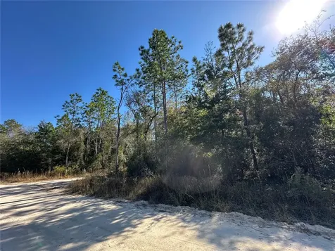 Tbd NE 15th Street Williston FL 32696