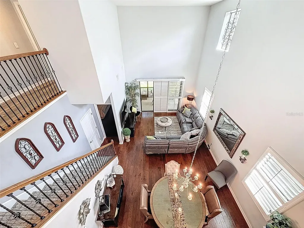2539 Silverback Court Palm Harbor FL 34684