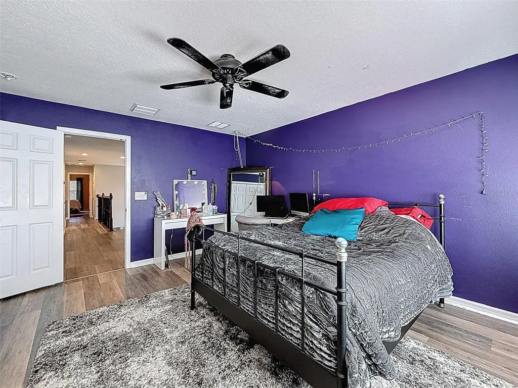 2539 Silverback Court Palm Harbor FL 34684