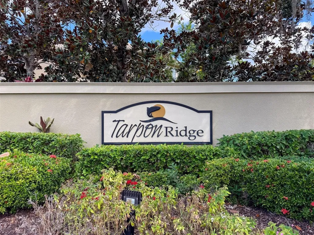 2539 Silverback Court Palm Harbor FL 34684
