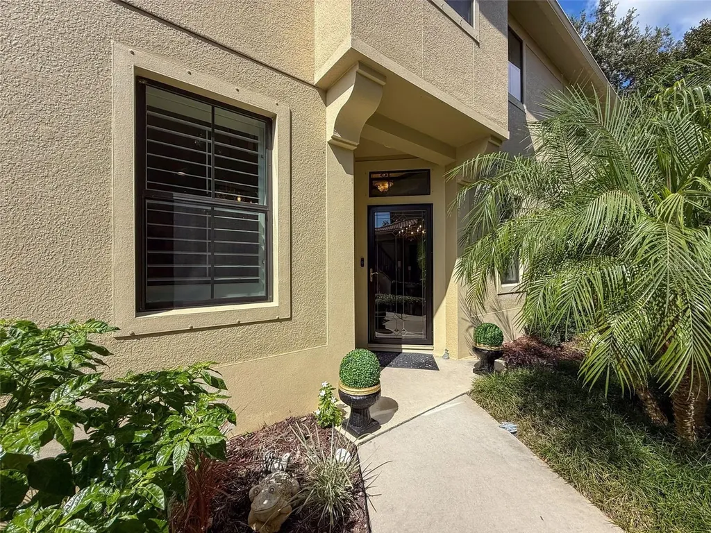 2539 Silverback Court Palm Harbor FL 34684