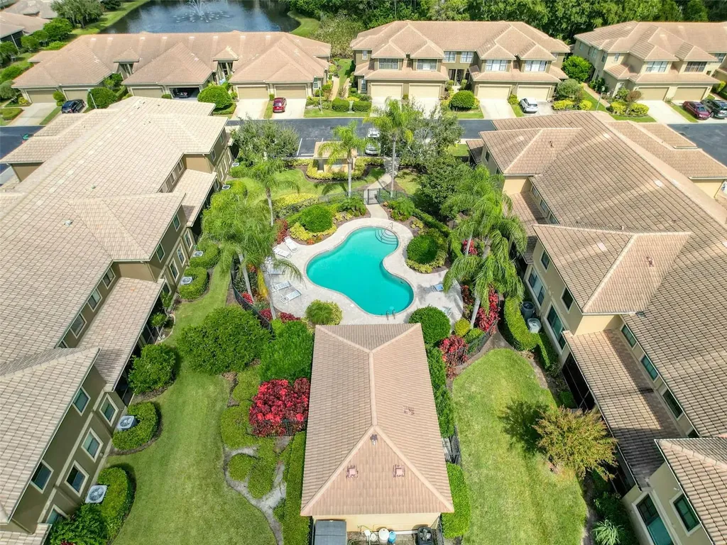 2539 Silverback Court Palm Harbor FL 34684