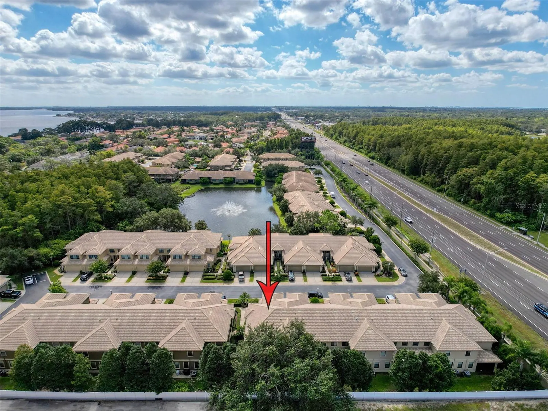 2539 Silverback Court Palm Harbor FL 34684