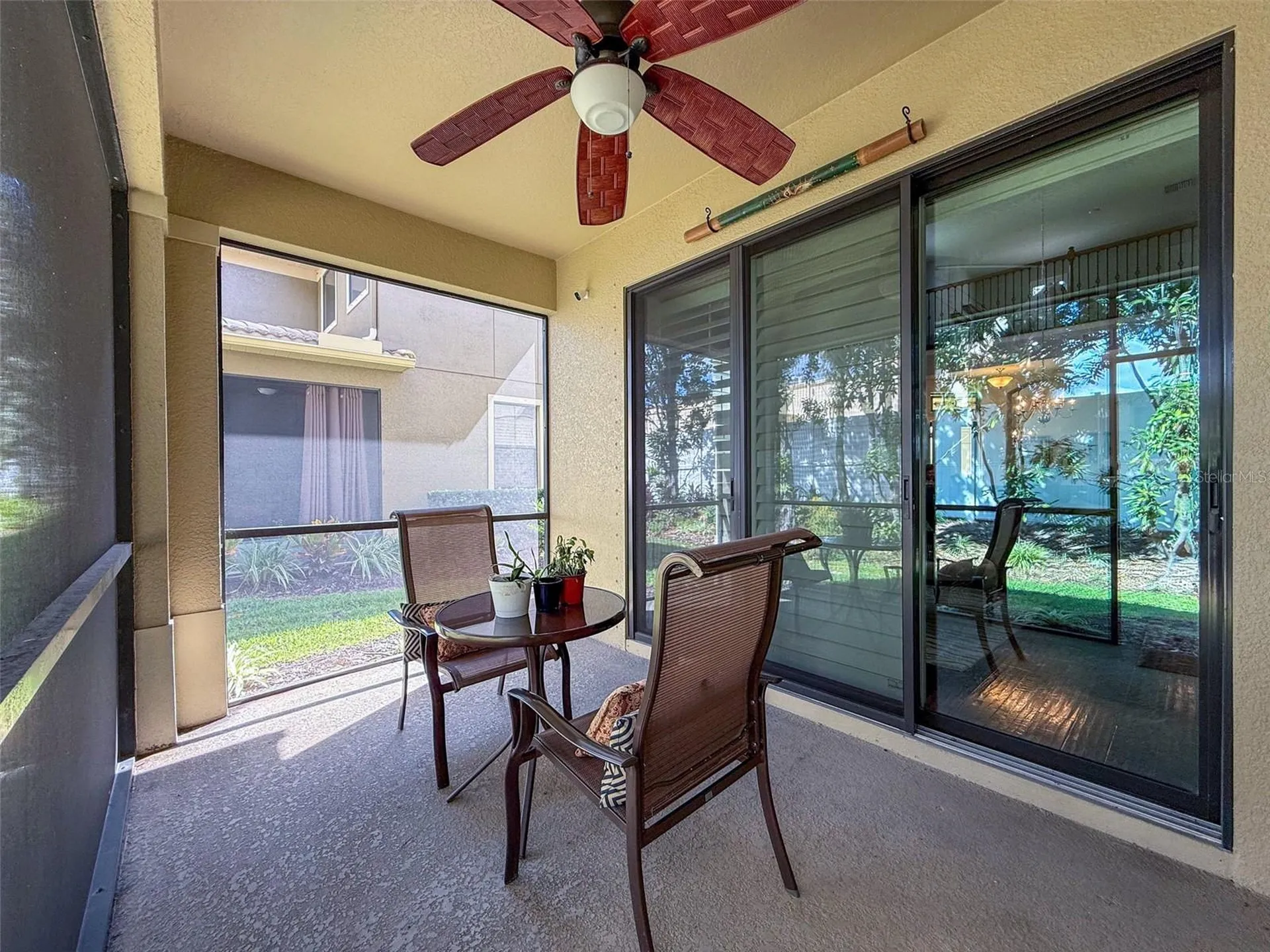 2539 Silverback Court Palm Harbor FL 34684