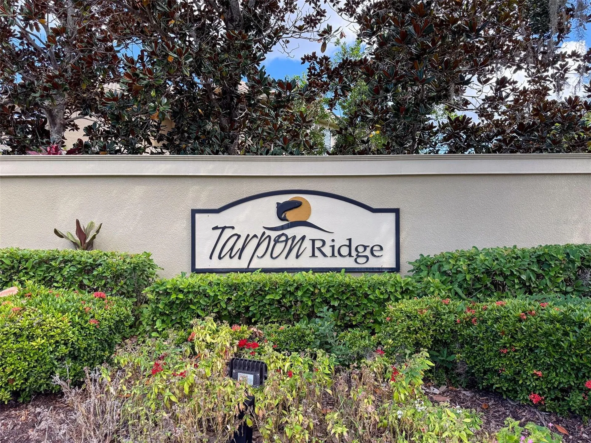 2539 Silverback Court Palm Harbor FL 34684