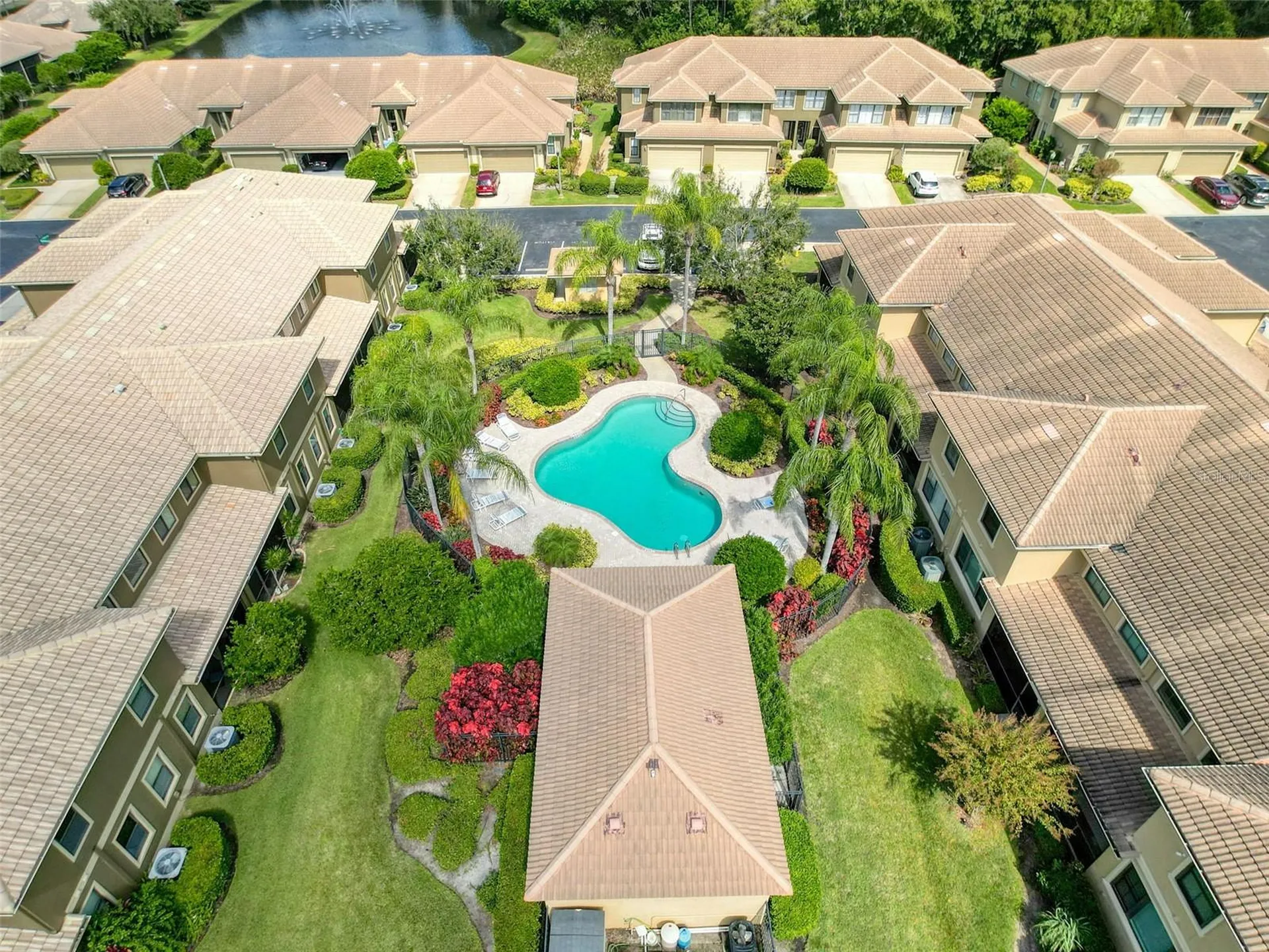 2539 Silverback Court Palm Harbor FL 34684