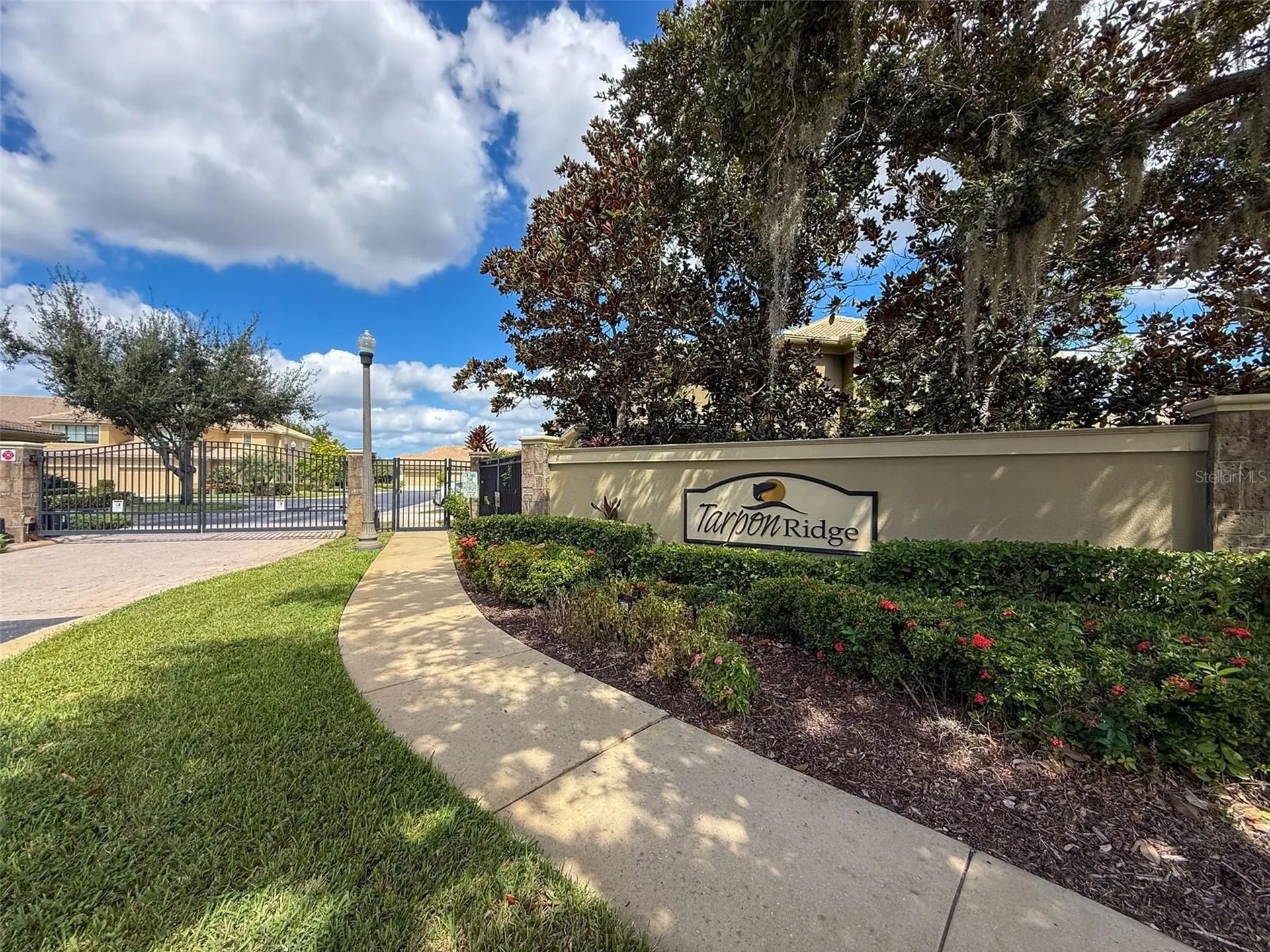 2539 Silverback Court Palm Harbor FL 34684