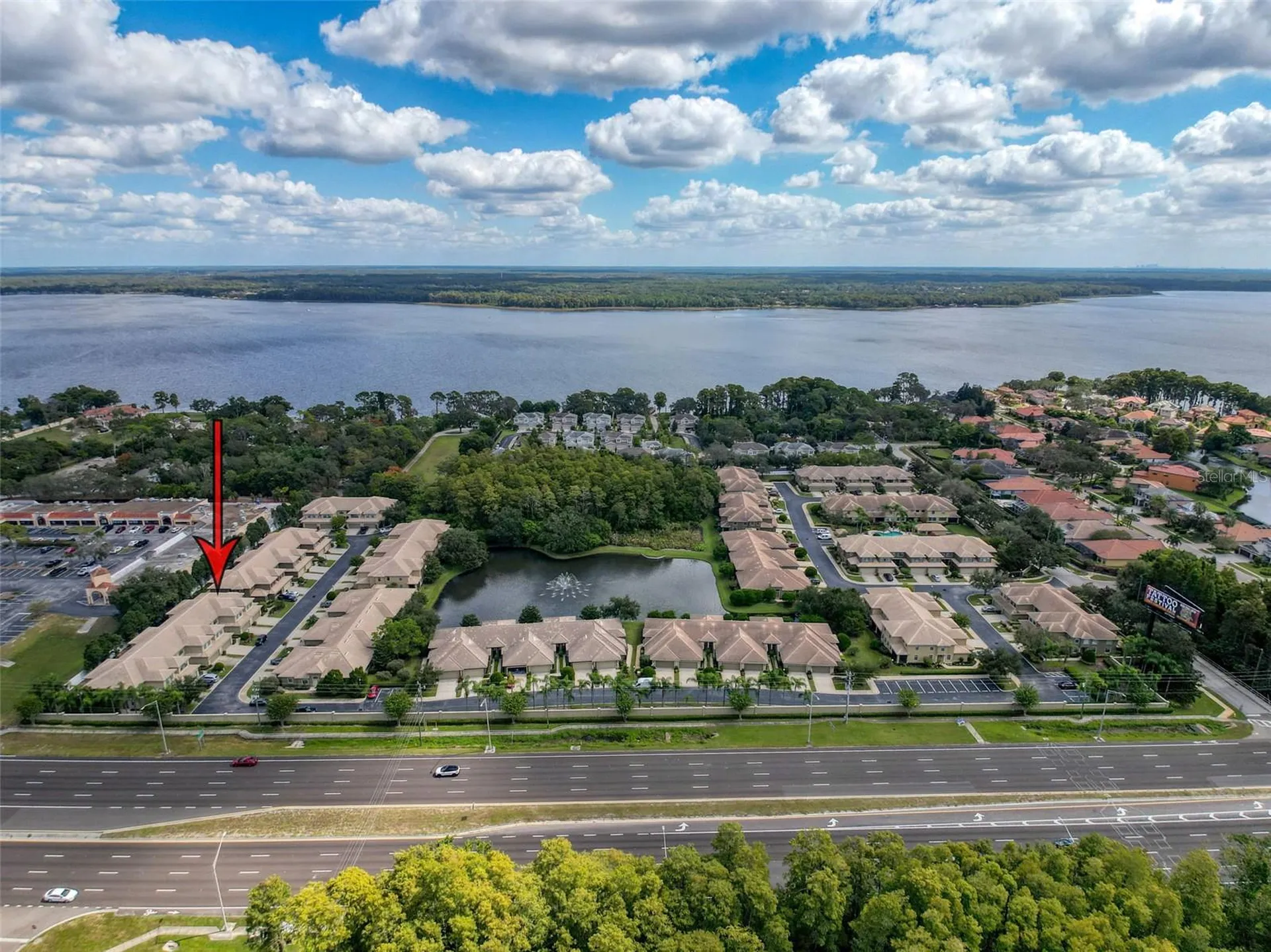 2539 Silverback Court Palm Harbor FL 34684