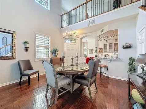 2539 Silverback Court Palm Harbor FL 34684