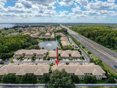 2539 Silverback Court Palm Harbor FL 34684