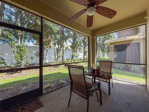 2539 Silverback Court Palm Harbor FL 34684