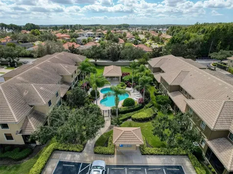 2539 Silverback Court Palm Harbor FL 34684